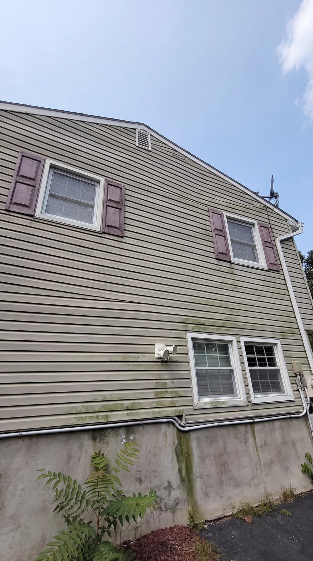 Original supplied photo of exterior siding before cleaning, with visible green buildup.